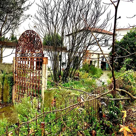 Cornelia, * Ponte de Lima