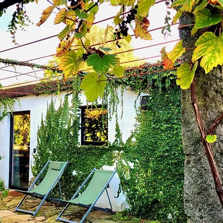 Nyaraló Cornelia, *