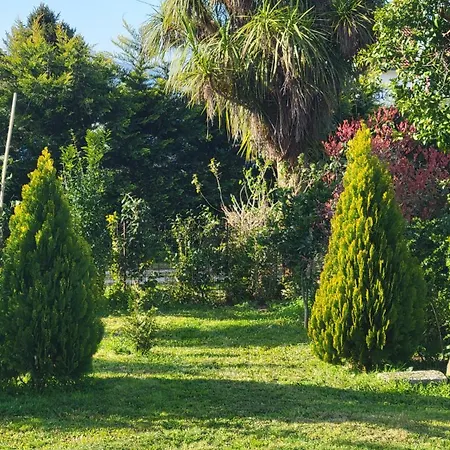 Cornelia, * Ponte de Lima