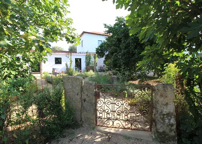 Cornelia, * Ponte de Lima