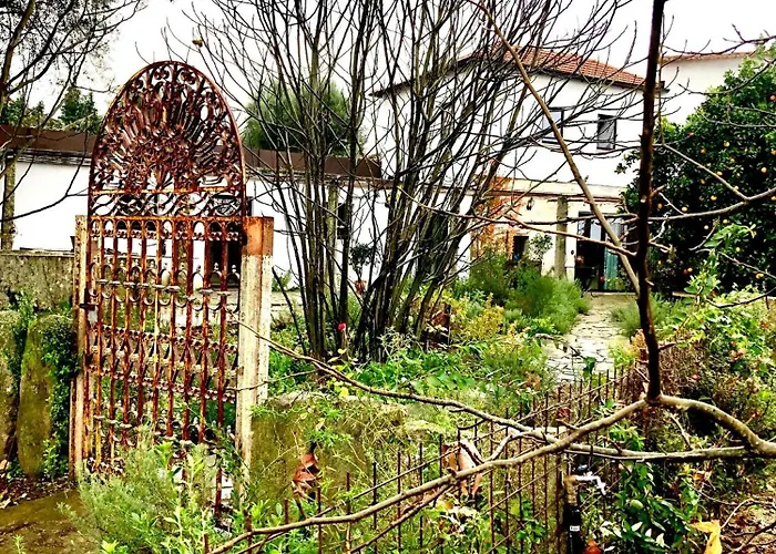 Cornelia, * Ponte de Lima