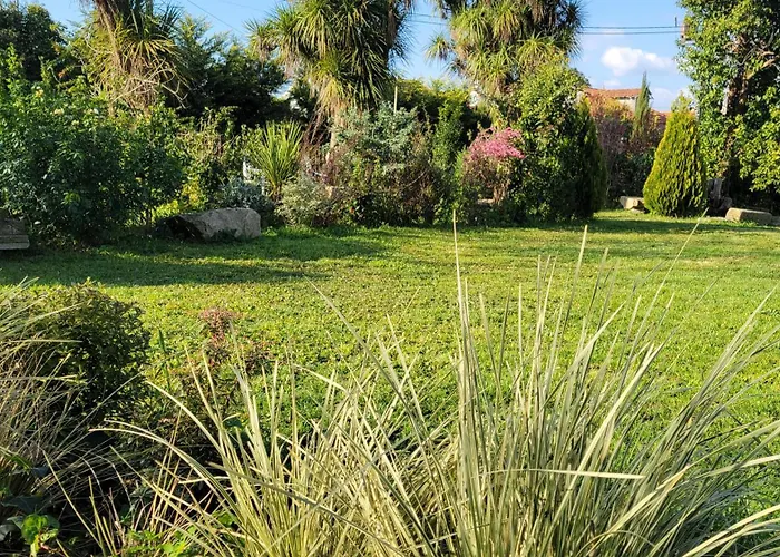 Cornelia, ポンテ・デ・リマ