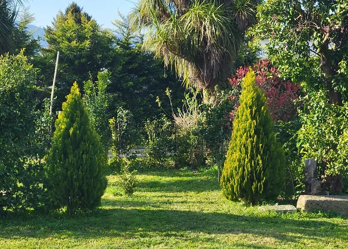 Cornelia, * Ponte de Lima